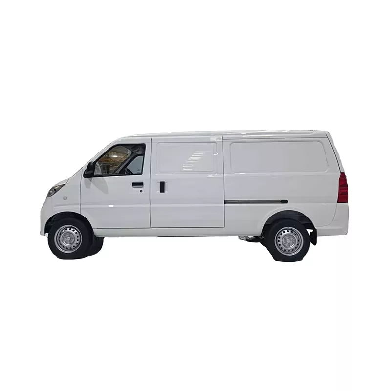 Ubutha i-G100 Cargo Van
